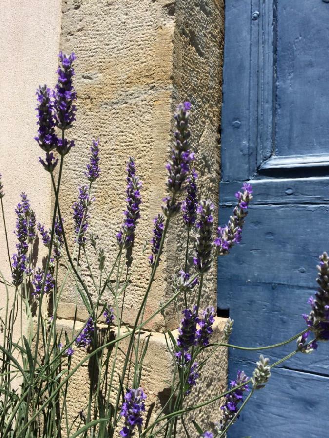 Domaine de La Forçate Apartamento Villesiscle Exterior foto